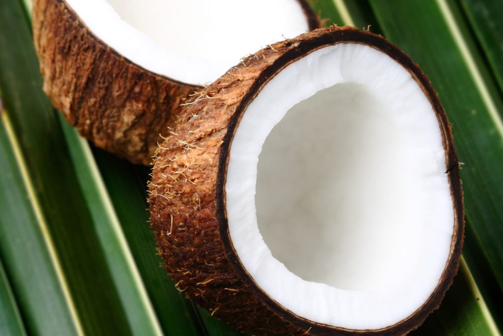 organic coconut oil infused lip balm