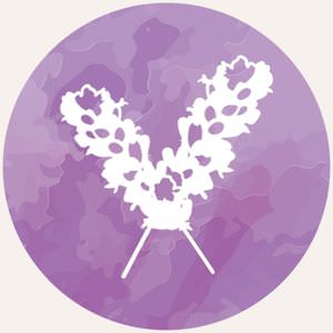 Lavender deals on coconut oil products